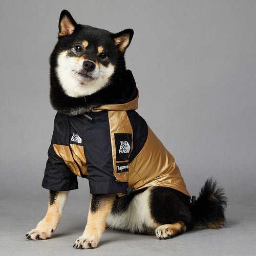 Warm Thread gold dog raincoat